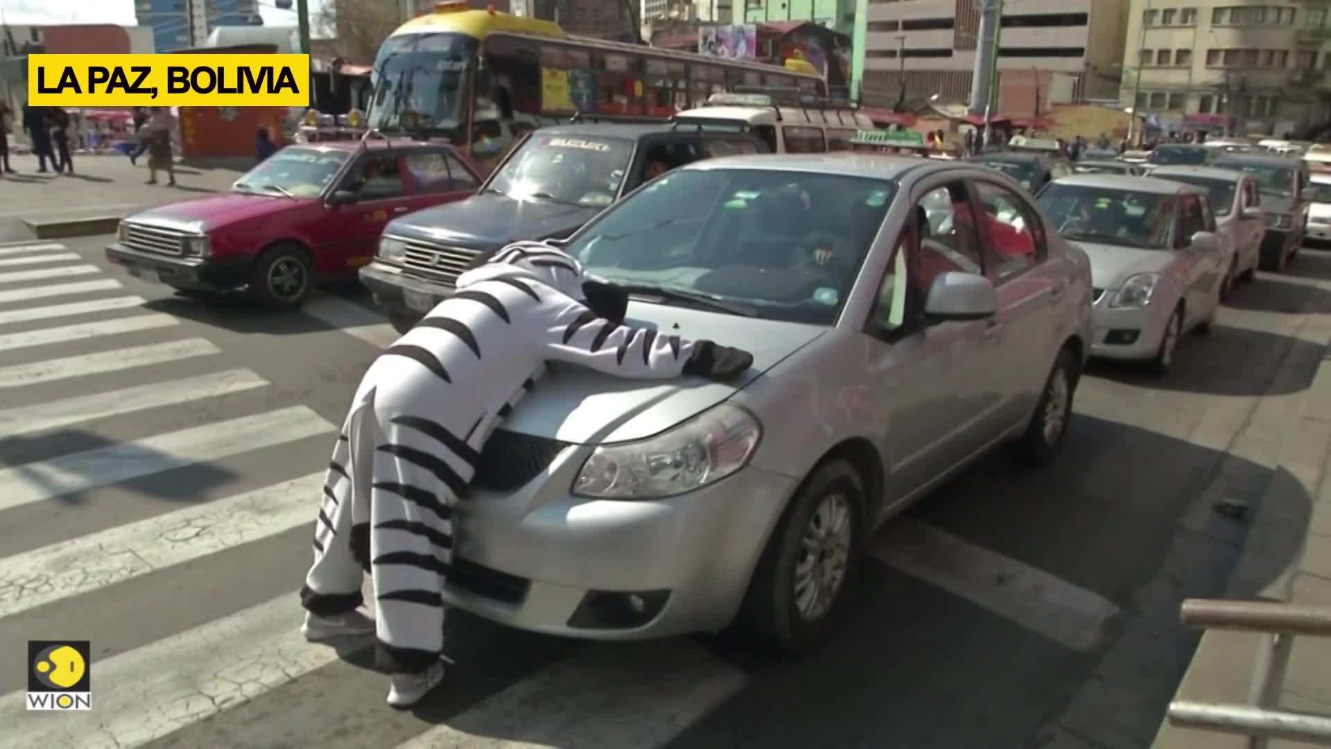 Bolivia takes zebra crossing literally for road safety Edge News