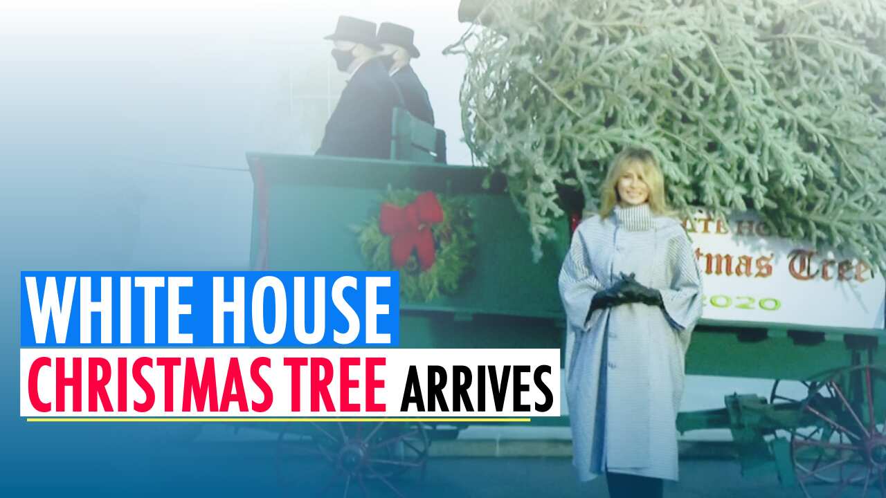 White House Christmas Tree arrives; First lady Melania Trump's last