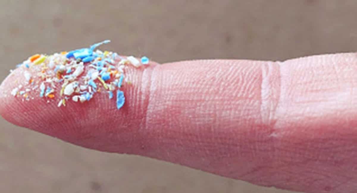 Amsterdam researchers discover microplastics in human blood World News