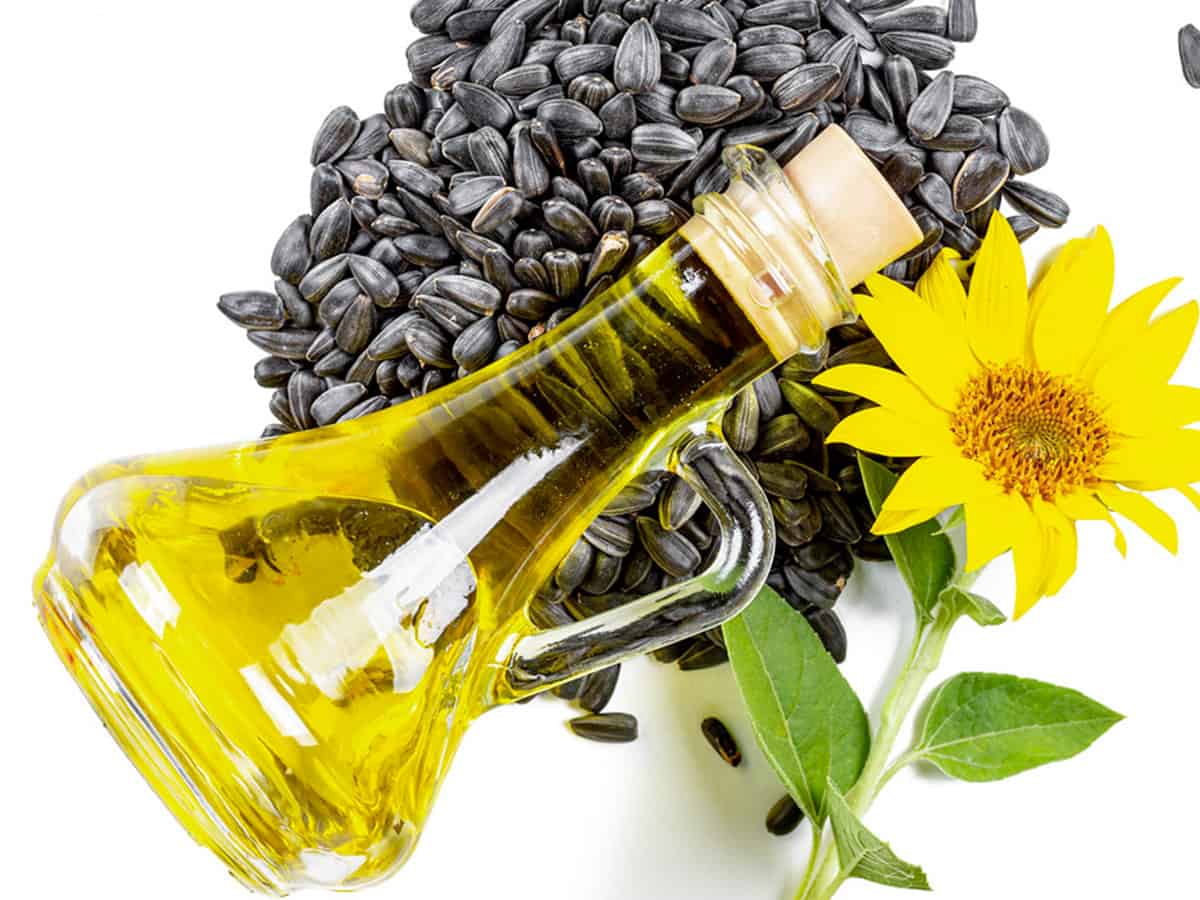 India buys Russian sunflower oil at a record high price amid a global