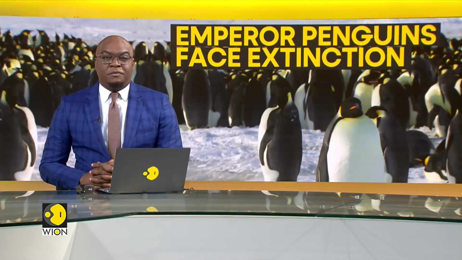 WION Climate Tracker: Emperor penguins at risk of extinction