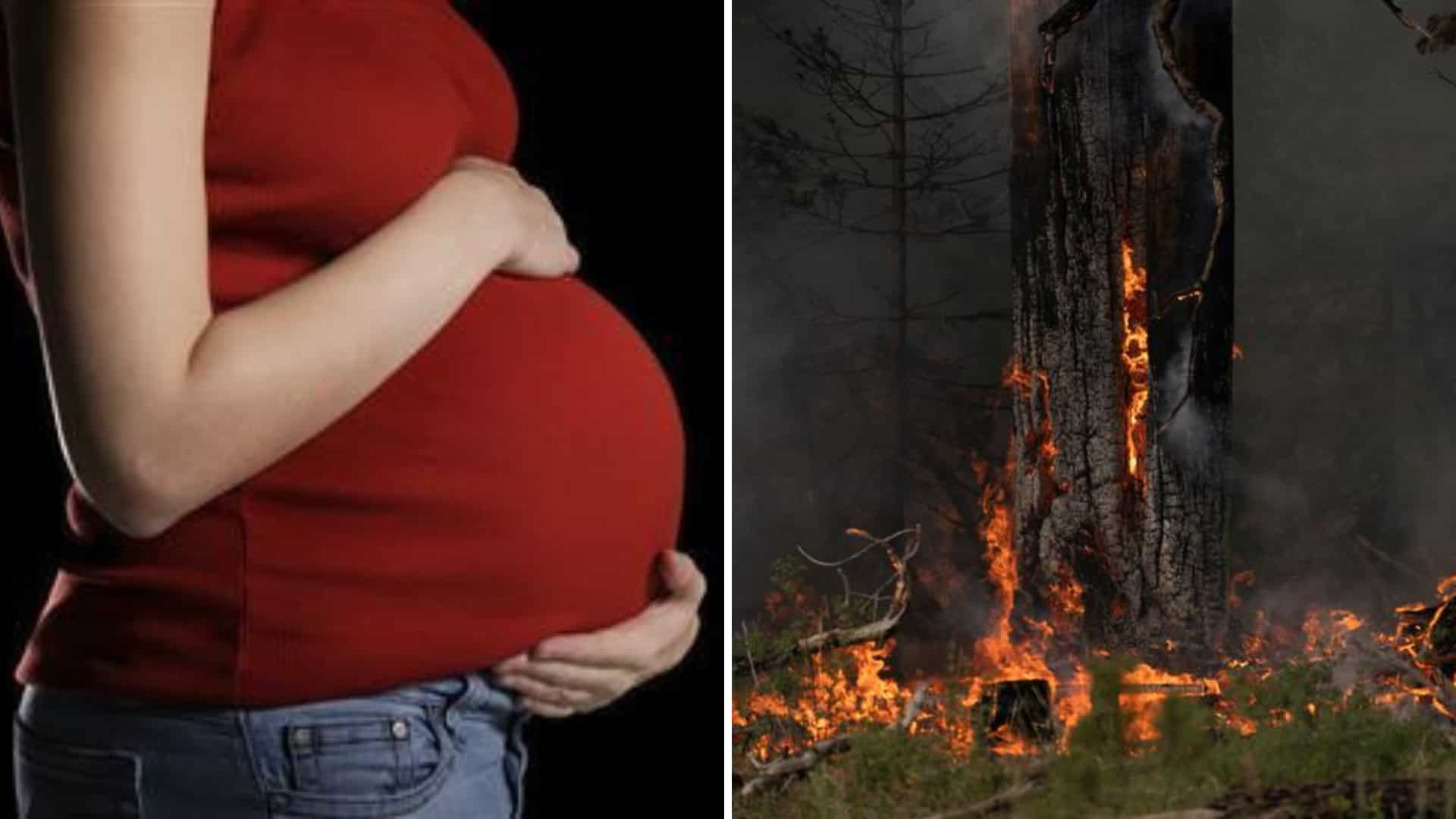 Wildfire smoke exposure in pregnancy may increase risk of preterm birth