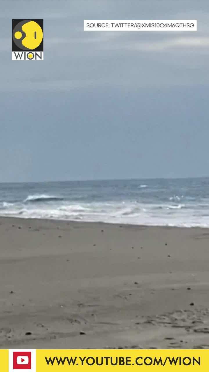 Mysterious metal sphere washes up on Japan beach Edge News