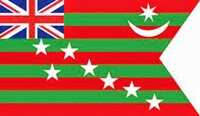 The flag used during the Home Rule movement in 1917