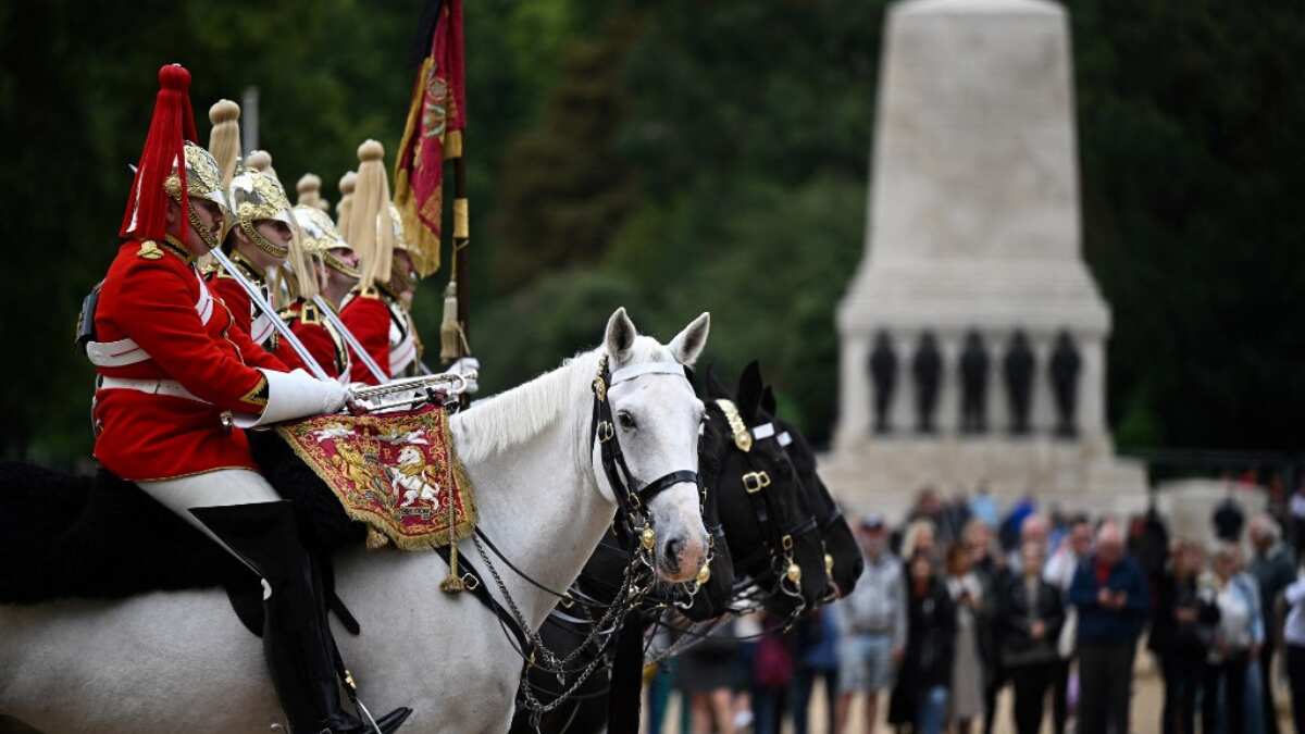 Horse