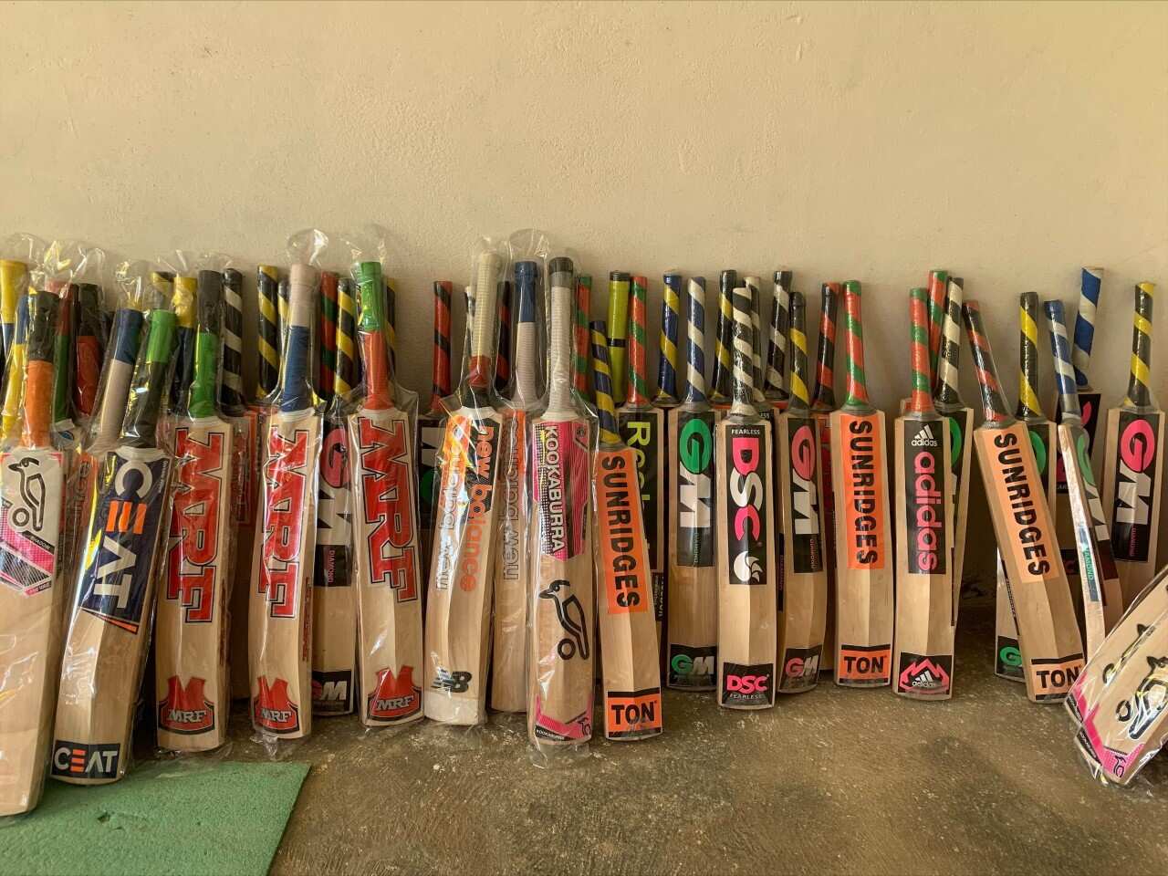 Kashmir Willow bats