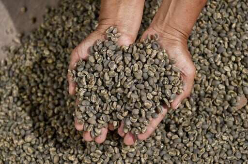 Coffee beans