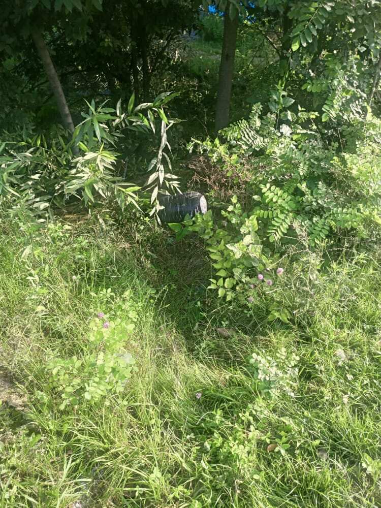 Bomb in Pulwama