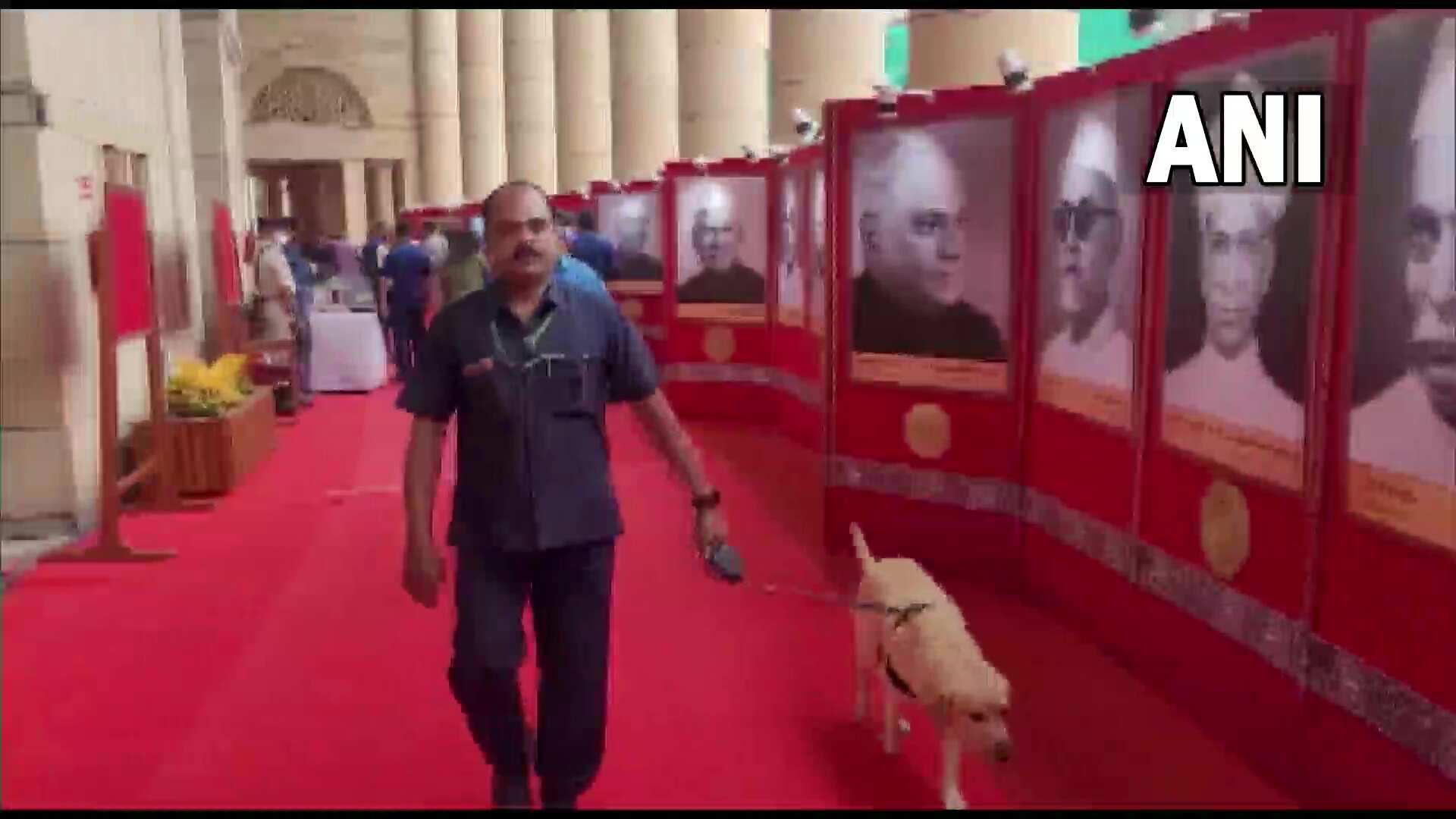 Parliamentary election
