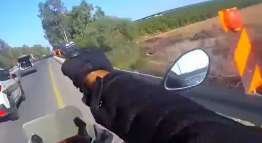 Hot Pursuit