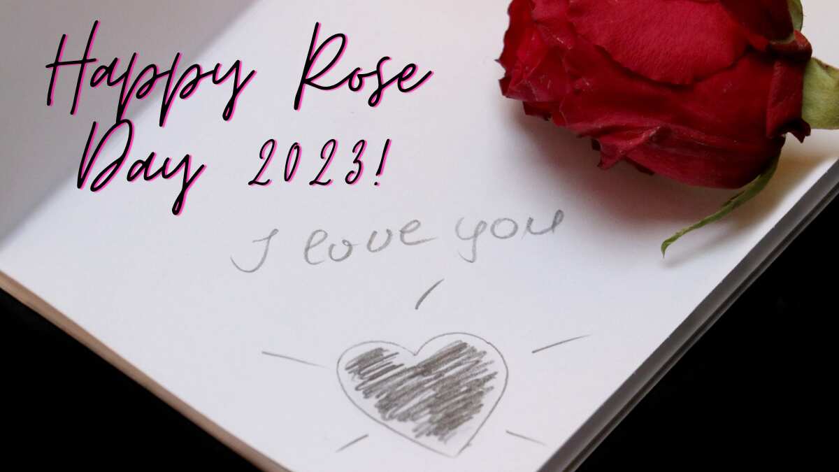 Happy Rose Day 2023
