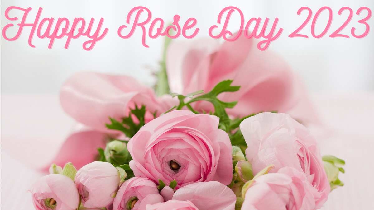 Happy Rose Day 2023