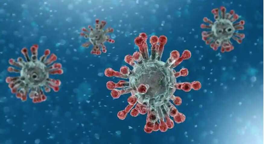 coronavirus