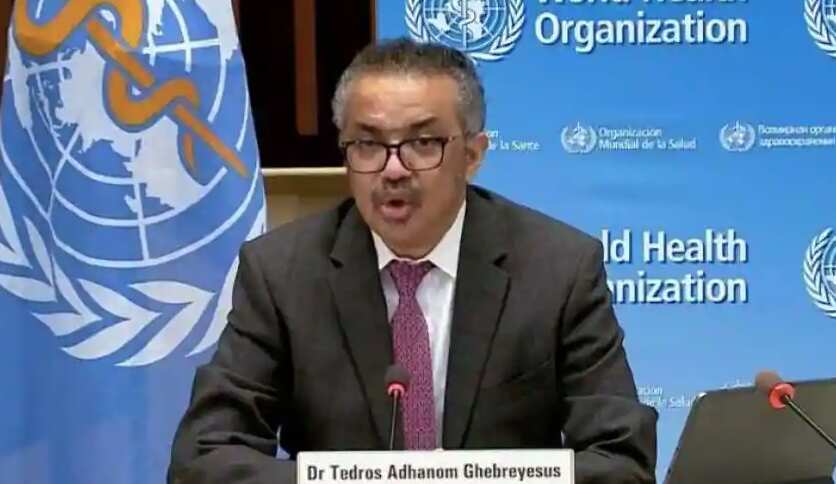 World Health Organization (WHO) Director General Tedros Adhanom Ghebreyesus has proposed a second phase of studies into the origins of the coronavirus in China, including audits of laboratories and markets in Wuhan, calling for transparency from authorities.