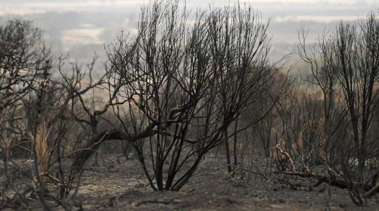 Bushfires