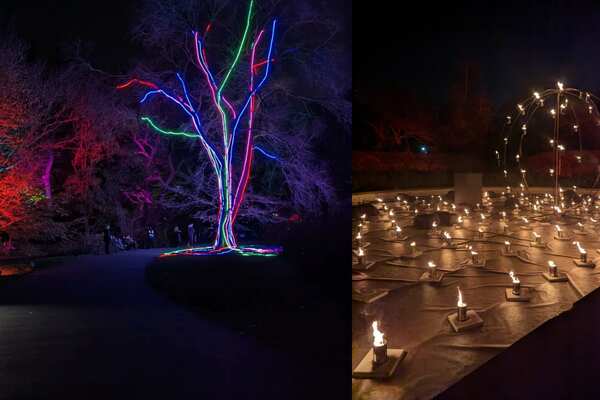 Lightscape at Brooklyn Botanical Garden