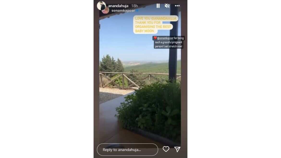 Anand Ahuja Instagram story