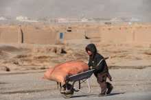 Afghan children