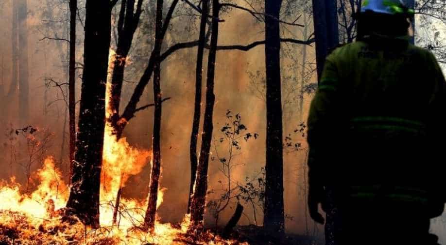 Australian bushfires: Thousands have been forced to leave their homes
