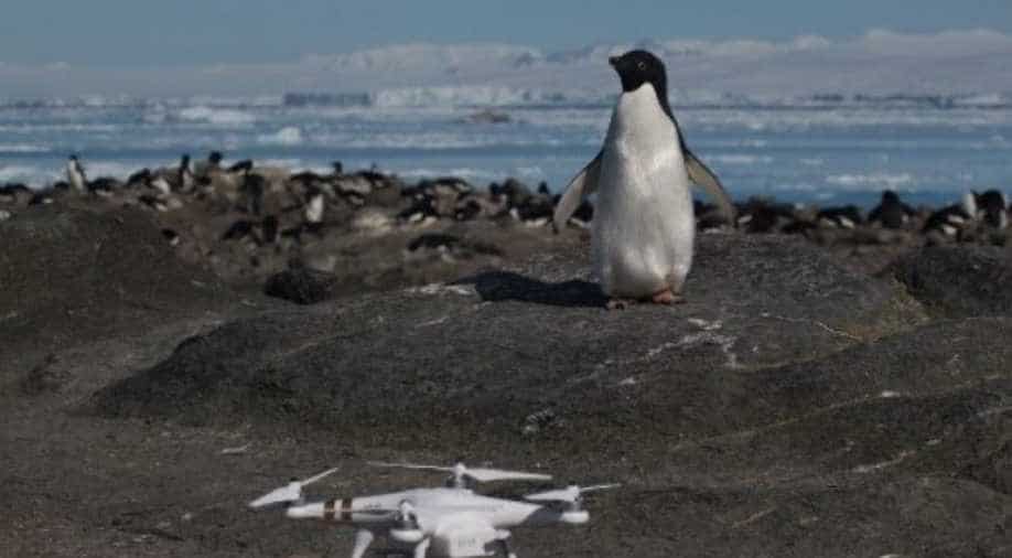 Antarctica shatters another temperature record, breaks 20 degrees Celsius