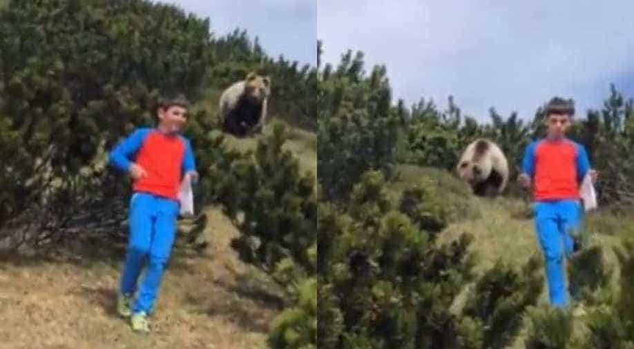 Boy stays calm while followed by bear