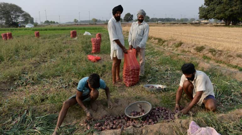 Demonetisation: Indian government allows farmers to buy seeds with old Rs 500 notes