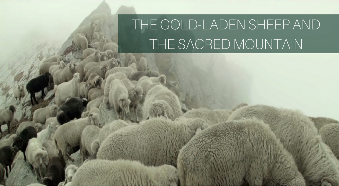 The Gold-Laden Sheep and The Sacred Mountain