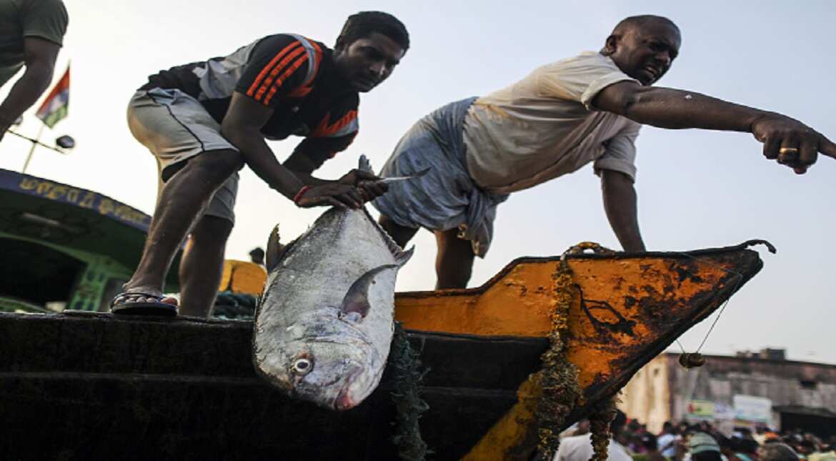 Thousands of fishermen in India