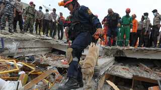 Indonesia: Aceh earthquake displaces at least 45,000 people