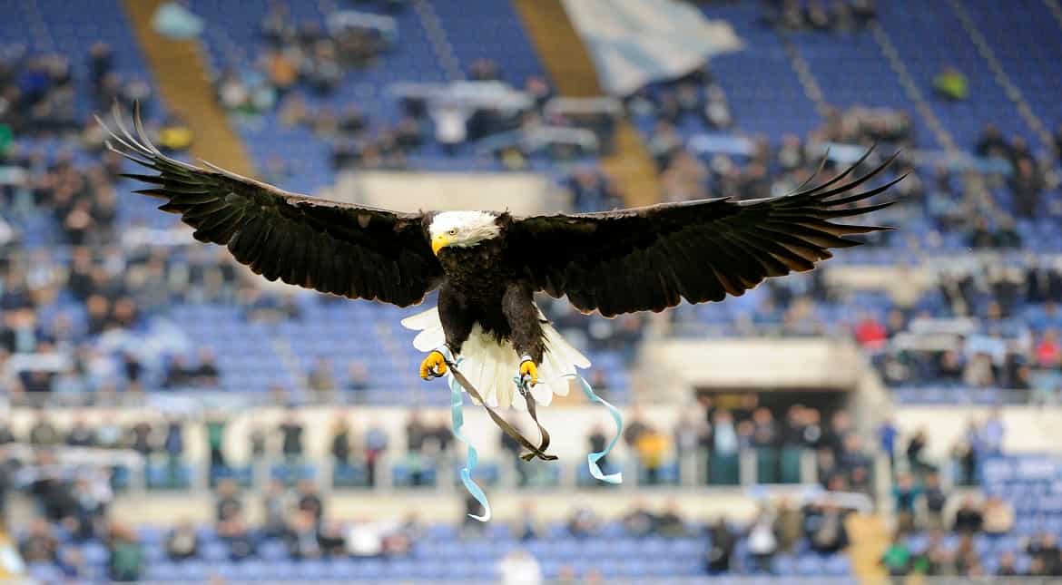 An eagle flies before the Serie A match between SS Lazio and AS Roma at Stadio