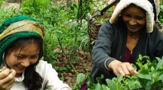 Opinion: Are you drinking 'fair' tea on International Tea Day?