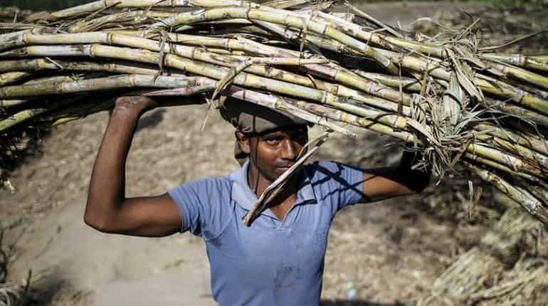 Government likely to announce Rs 7,000-crore bailout package for sugar mills