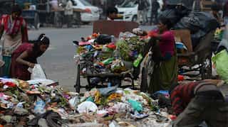 Submit action plan on landfill sites in 2 weeks: NGT to Delhi govt