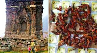 PoK Muslim sends sacred soil to Kashmiri Pandits in India