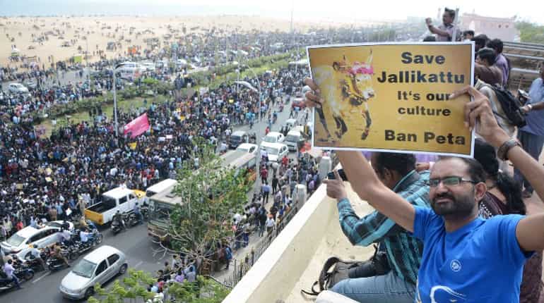 Pro-Jallikattu protests continue in Tamil Nadu, 200 agitators arrested Pro-Jallikattu protests continue in Tamil Nadu, 200 agitators arrested