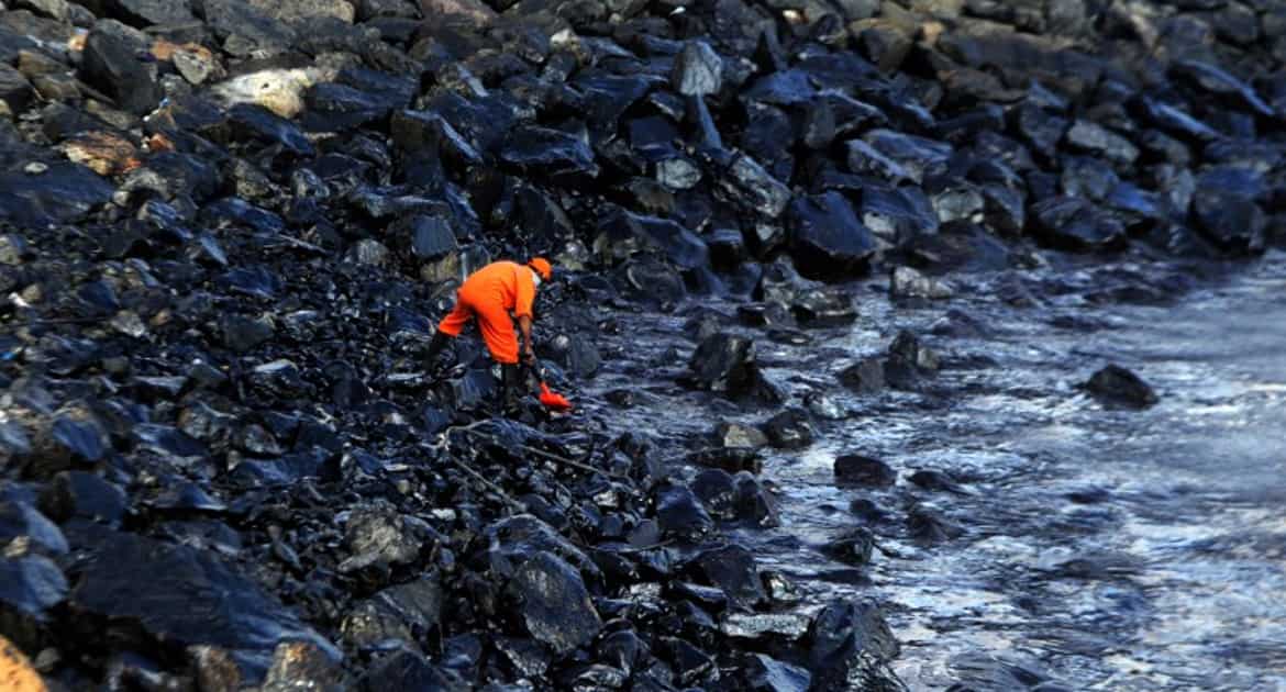 Oil spill off Chennai not properly assessed by government, warn environmentalists
