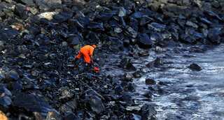 Oil spill off Chennai not properly assessed by government, warn environmentalists
