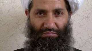 Taliban calls on Afghans to plant trees as 'Spring offensive' looms