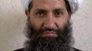 Taliban calls on Afghans to plant trees as 'Spring offensive' looms
