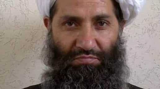 Taliban calls on Afghans to plant trees as 'Spring offensive' looms