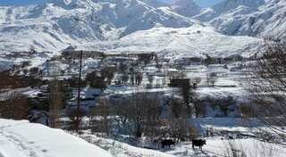 Three Russian climbers missing on Nepal's Annapurna I peak: Report