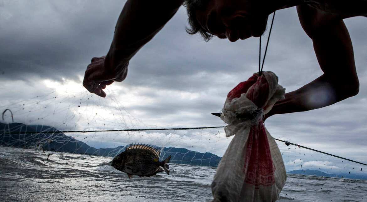 Sri Lankan Navy releases 53 Indian fishermen Sri Lankan Navy releases 53 Indian fishermen