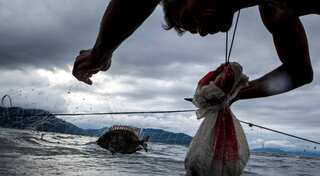 Sri Lankan Navy releases 53 Indian fishermen