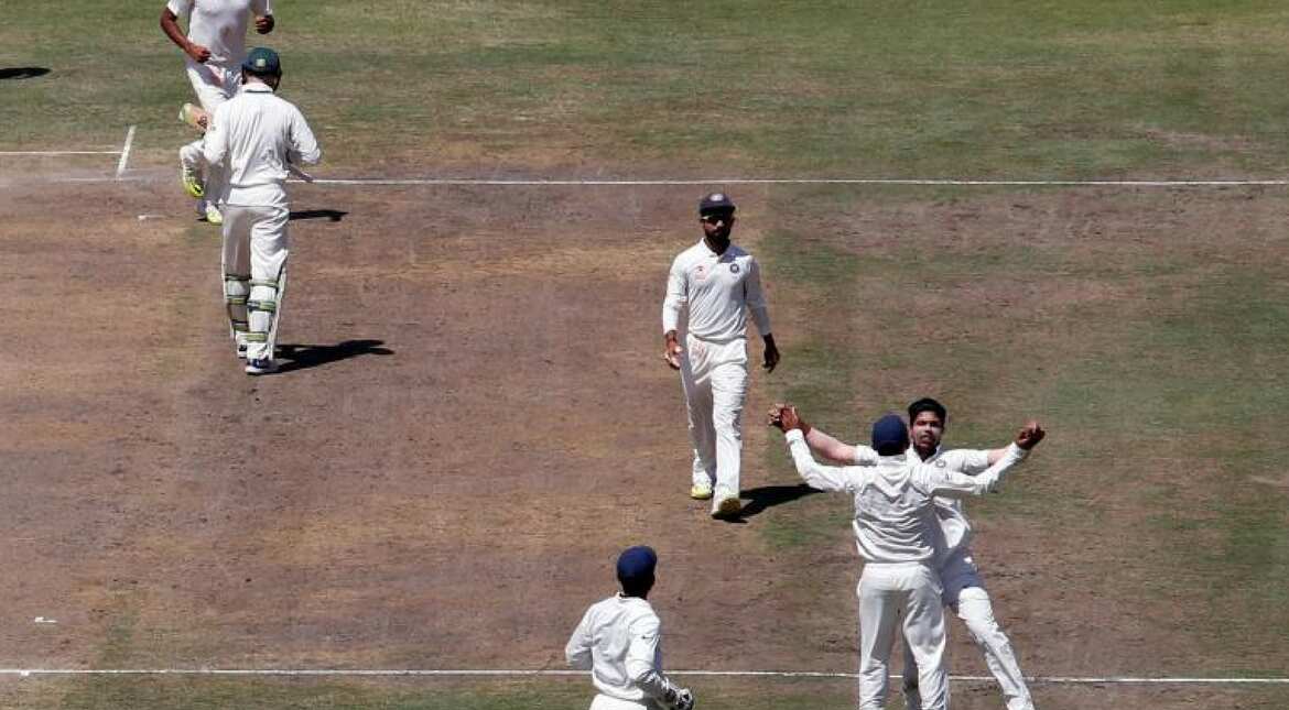 Cricket