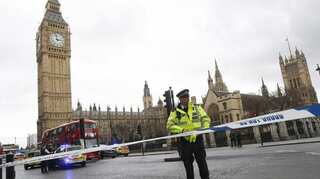 Man held outside UK parliament in 'petrol' incident: Police