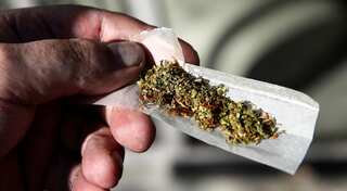 Decriminalise pot, says German police union