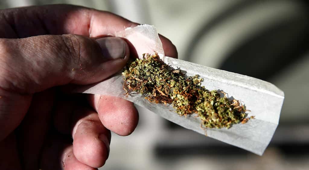 In a EU first, Malta legalises cannabis at home and for personal use