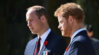 Prince Harry suffered 'total chaos' over Diana's death
