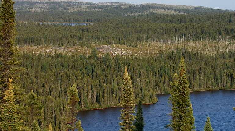 US rekindles trade conflict with Canada over lumber US rekindles trade conflict with Canada over lumber