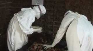 Congo faces 'very high' risk from Ebola outbreak: WHO